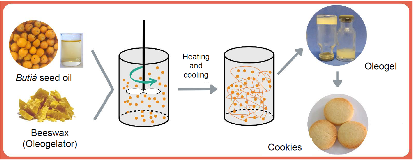 FTB 63 425 Graphical abstract
