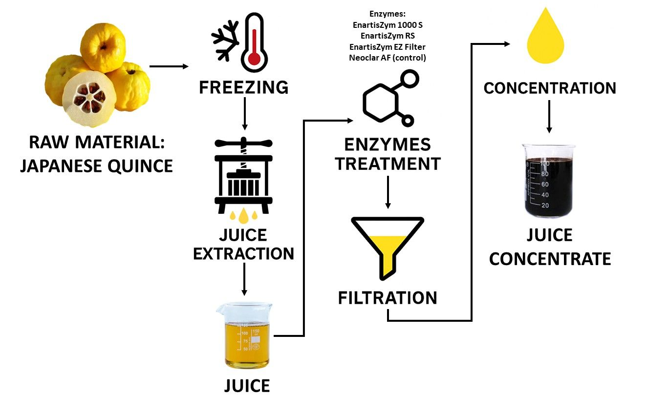 FTB 63 437 Graphical abstract